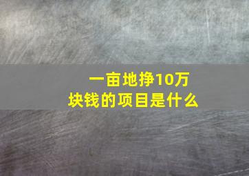 一亩地挣10万块钱的项目是什么