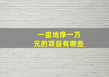 一亩地挣一万元的项目有哪些