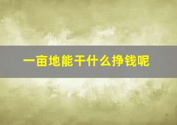 一亩地能干什么挣钱呢