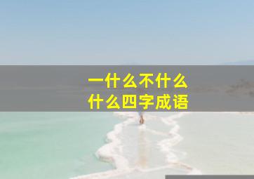 一什么不什么什么四字成语