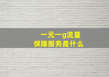 一元一g流量保障服务是什么