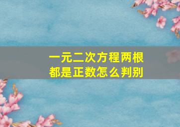 一元二次方程两根都是正数怎么判别