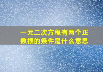 一元二次方程有两个正数根的条件是什么意思