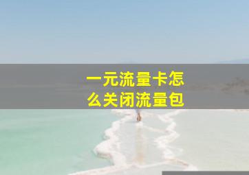 一元流量卡怎么关闭流量包