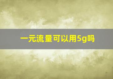 一元流量可以用5g吗