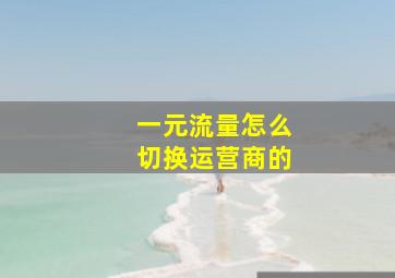 一元流量怎么切换运营商的