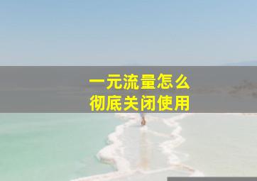 一元流量怎么彻底关闭使用