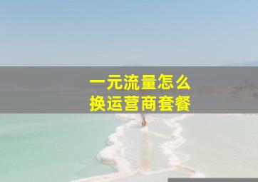 一元流量怎么换运营商套餐