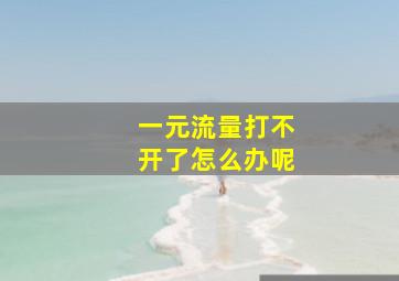 一元流量打不开了怎么办呢