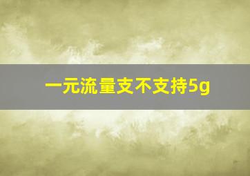 一元流量支不支持5g