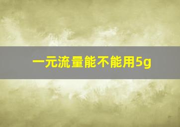 一元流量能不能用5g