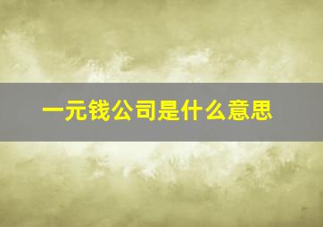 一元钱公司是什么意思