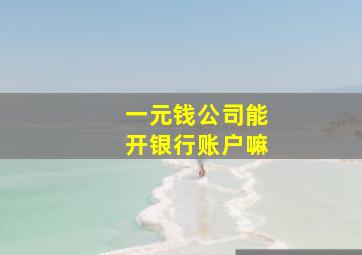 一元钱公司能开银行账户嘛