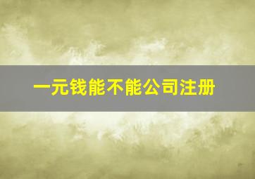 一元钱能不能公司注册