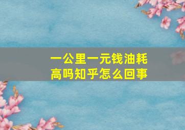 一公里一元钱油耗高吗知乎怎么回事