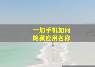 一加手机如何隐藏应用名称