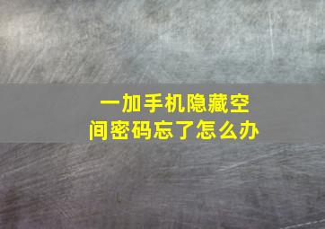 一加手机隐藏空间密码忘了怎么办