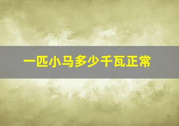 一匹小马多少千瓦正常