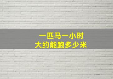 一匹马一小时大约能跑多少米