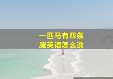 一匹马有四条腿英语怎么说