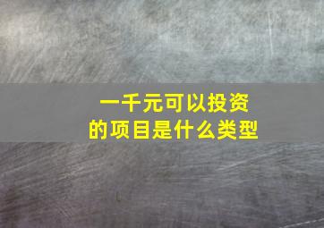 一千元可以投资的项目是什么类型