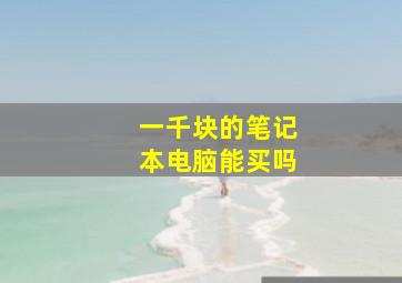 一千块的笔记本电脑能买吗