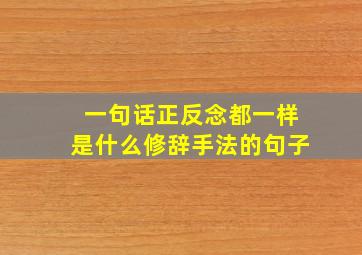 一句话正反念都一样是什么修辞手法的句子