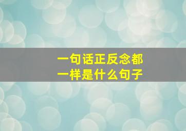 一句话正反念都一样是什么句子