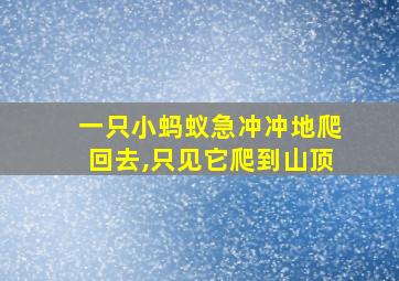 一只小蚂蚁急冲冲地爬回去,只见它爬到山顶