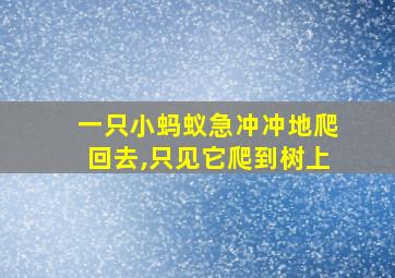 一只小蚂蚁急冲冲地爬回去,只见它爬到树上