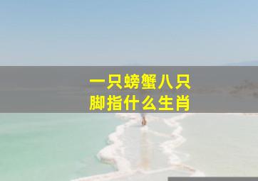 一只螃蟹八只脚指什么生肖