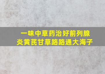 一味中草药治好前列腺炎黄芪甘草路路通大海子