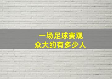 一场足球赛观众大约有多少人