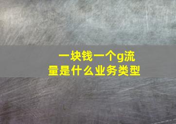 一块钱一个g流量是什么业务类型