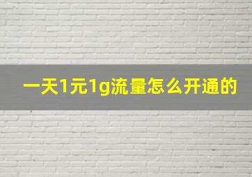 一天1元1g流量怎么开通的