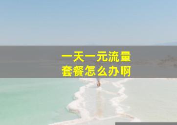 一天一元流量套餐怎么办啊