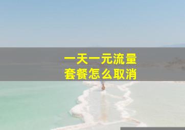 一天一元流量套餐怎么取消