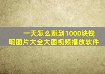 一天怎么赚到1000块钱呢图片大全大图视频播放软件