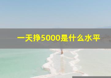 一天挣5000是什么水平