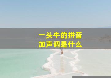 一头牛的拼音加声调是什么