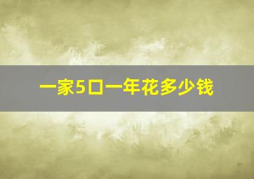 一家5口一年花多少钱