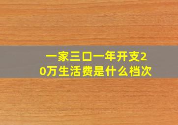 一家三口一年开支20万生活费是什么档次