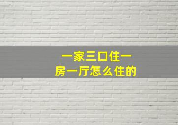 一家三口住一房一厅怎么住的