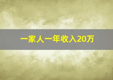 一家人一年收入20万