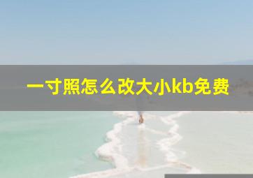 一寸照怎么改大小kb免费