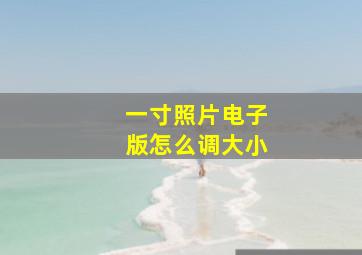 一寸照片电子版怎么调大小