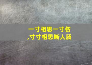 一寸相思一寸伤,寸寸相思断人肠