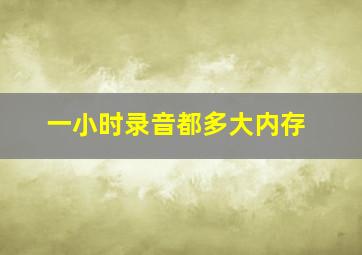 一小时录音都多大内存