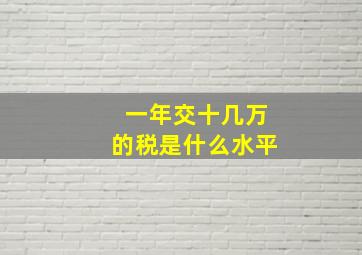 一年交十几万的税是什么水平