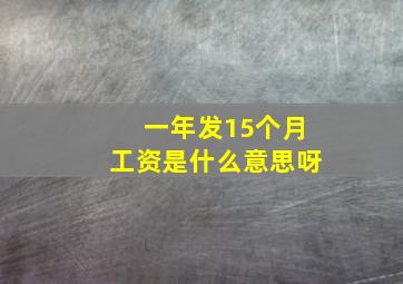 一年发15个月工资是什么意思呀